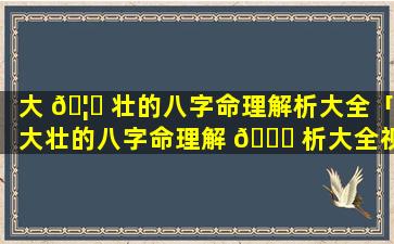 大 🦄 壮的八字命理解析大全「大壮的八字命理解 💐 析大全视频」